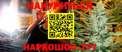 шишки Будённовск
