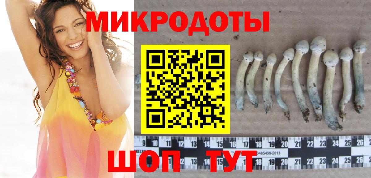 Ставрополь  Псилоцибиновые грибы GOLDEN TEACHER  Вход с VPN 